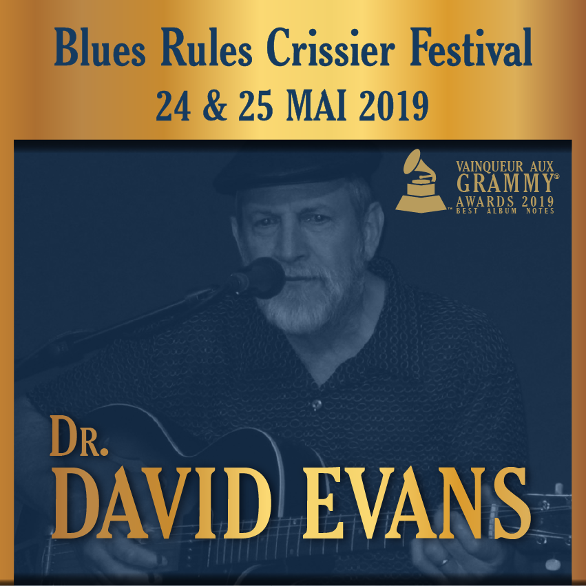 Dr. David Evans @ blues rules
