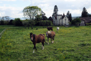 château de Crissier