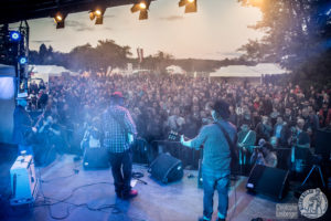 juke box live blues rules crissier festival